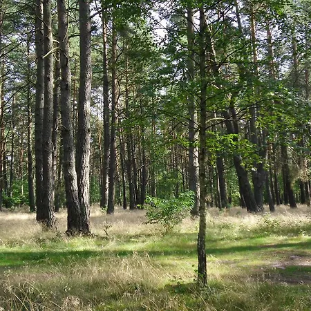 Kastavengrund - Ferienhaeuser Mit Kamin *