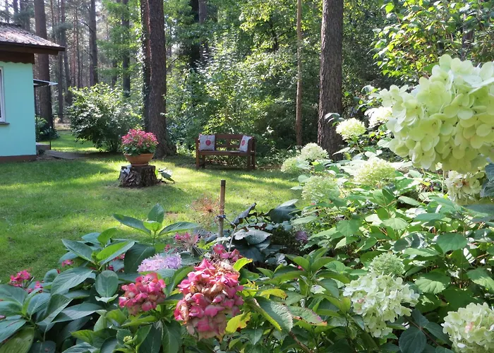 Kastavengrund - Ferienhaeuser Mit Kamin