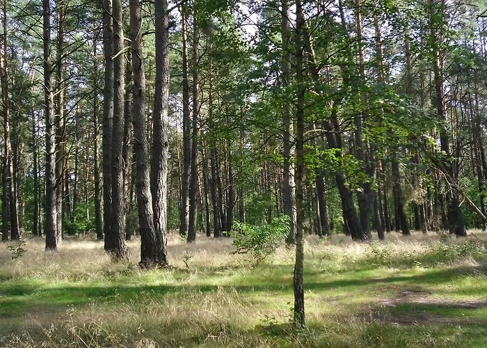 Kastavengrund - Ferienhaeuser Mit Kamin *